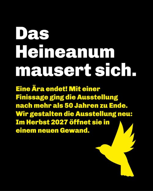 Mehr als 50 Jahre lang prägte die Dauerausstellung das Vogelkundemuseum in Halberstadt. Jetzt heißt es: alte Federn...